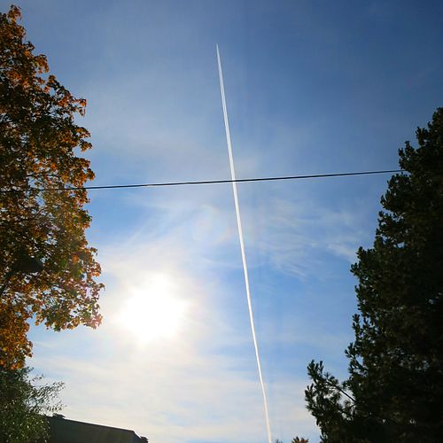 Contrail (song)